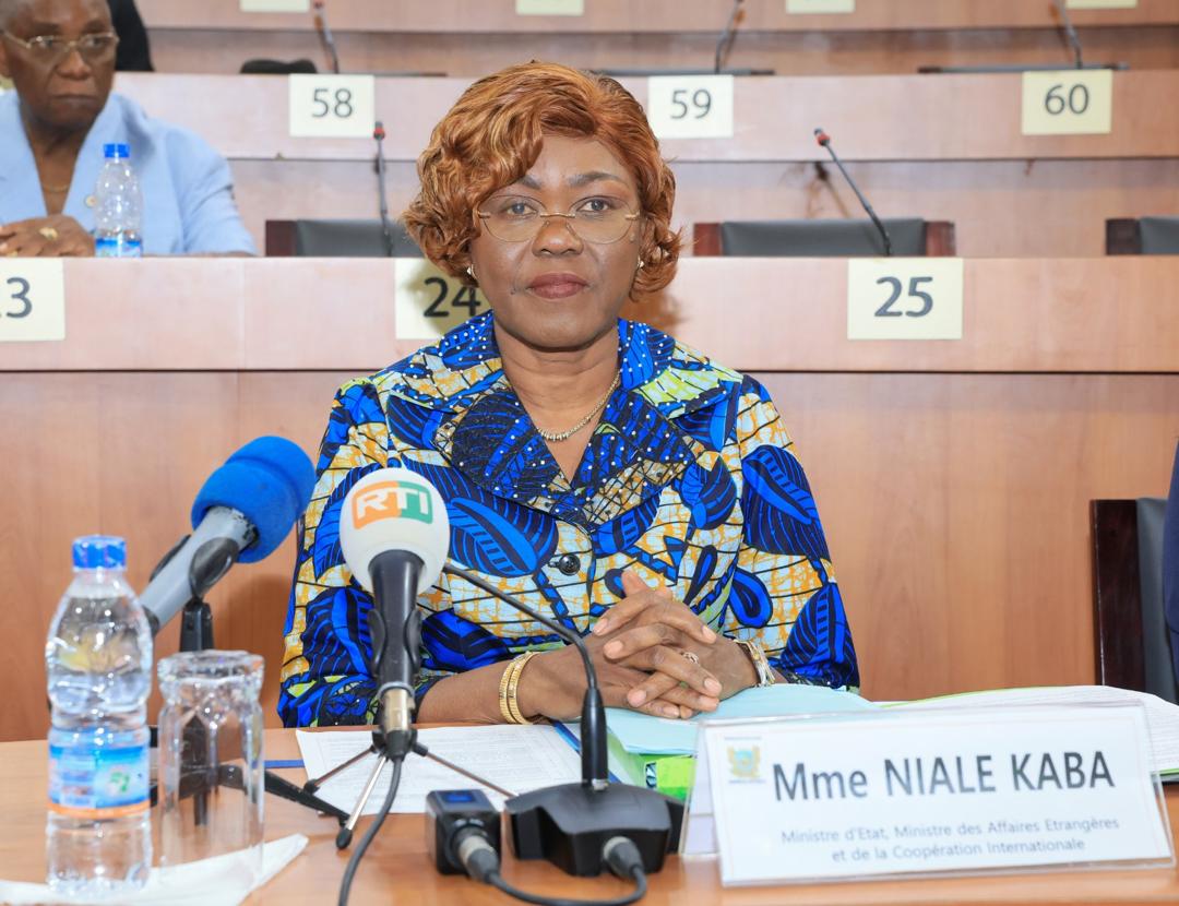 DIPLOMATIE : DROITS HUMAINS ET ÉNERGIE, DEUX LOIS ADOPTÉES EN COMMISSION À L’ASSEMBLÉE NATIONALE